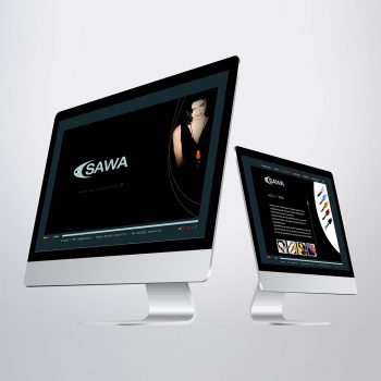 CSAWA Website